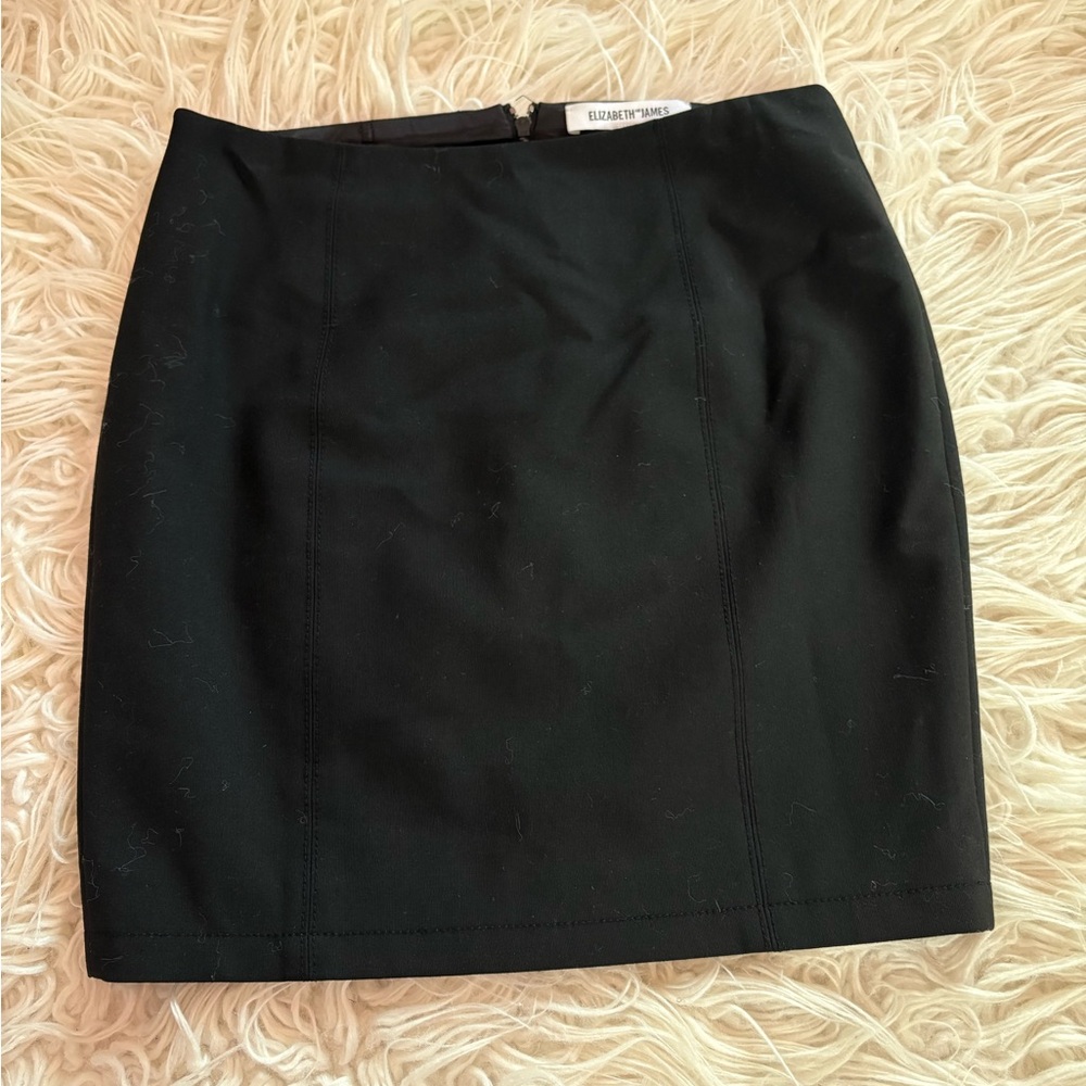Elizabeth & James Black Mini Skirt Stretch Fitted Panel Zip Back Size 2